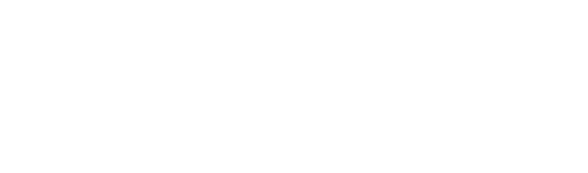 Black Box intelligence